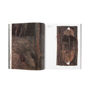Magdalena Abakanowicz exhibition book (paperback)